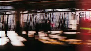 Lushmore - Look up
