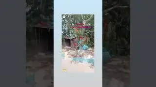 #cjdarcl i