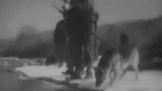 26th Infantry Scout Dog Platoon
