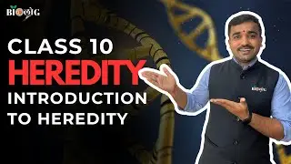 Heredity 🔬 | Science Chapter 8 | Genes, Traits & Inheritance Made Easy | Class 10