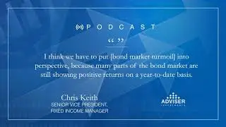 Back on Stable Ground? The Bond Market and Fed Intervention | Investing | Bonds
