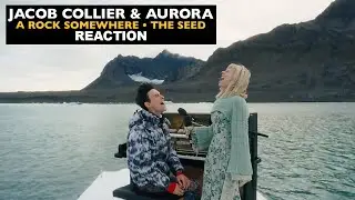 Musicians REACT to Jacob Collier and Aurora: A Rock Somewhere, The Seed (2024)