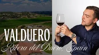 Meet the Wineries Behind the Brand: Interviewing Pablo Alvarez, Export Manager of Bodegas Valduero