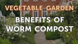 Benefits of Worm Compost