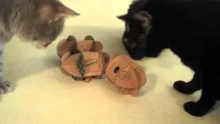 Amazing Treat Machine Rollers Cat Toys