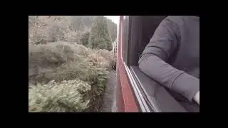 Scania R500 Timber Truck - Wagon and Drag tight access forestry road