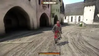 Sir Radzig - brave Royal Hetman and Lord of Skalitz