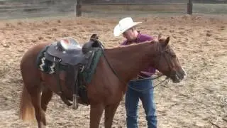 Dennis Sigler - Horses - Ground Work in the Round Pen