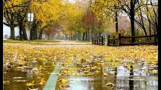 Kew-Balmy Beach Cove-Martin Goodman Trail-Toronto Ontario-25/10/2025