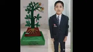 speech on plants|parts of a plant|essay on plants|few lines on plants|plant parts and it's functions
