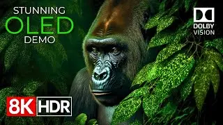 Beyond Imagination &ndash; Stunning 8K HDR 120fps Dolby Vision&trade; (8K Video)