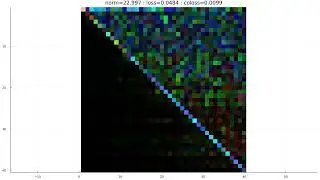 This neural network grew triangular weight matrices while training.