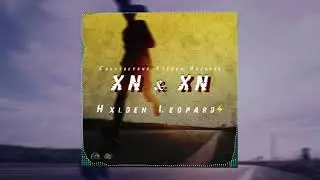 Hxlden Leopard ⚡ - Xn n Xn   (758 Music)