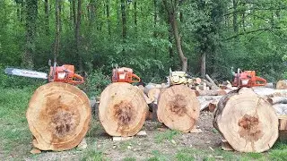 Fiber cutting challenge - Husqvarna 3120xp, 394xp, 371xp, Stihl MS 651, McCulloch 795