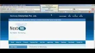 bizelive and seowebdesign portfolio.avi