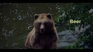 ChildMood. Interesting animals!