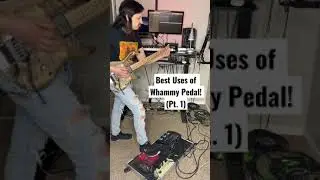 Best Uses of Whammy Pedal! (Pt. 1) - Pantera - &ldquo;Becoming&rdquo; - (Kiesel Osiris - Fractal FM3)