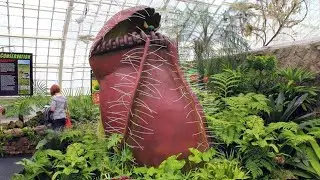10 Plants That Eat Animals