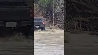 Moment car runs over croc