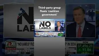 Third-party group reportedly has Dem, GOP support for &lsquo;coalition gov&rsquo; in 2024 #shorts