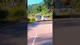 bus racing #bmw #car #cartoon #public #shorts #shortvideo #youtube #youtubeshorts