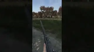 mosin work