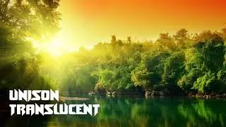 Unison - Translucent