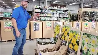 Planting Fall Bulbs For An Explosion of Spring Colour!