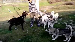 VID 20151016 174523