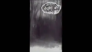 Nortada Gelada - O Frio