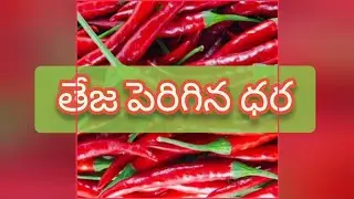 Guntur mirchi market rate today | 27-08-2024