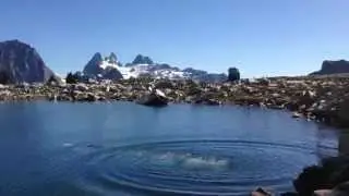 Swimming butterfly in an alpine lake