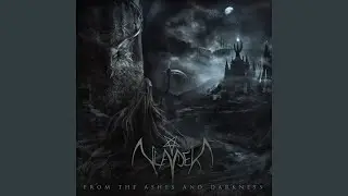 From the Most Absolute Darkness