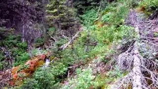 Hydraulic Mining Zone