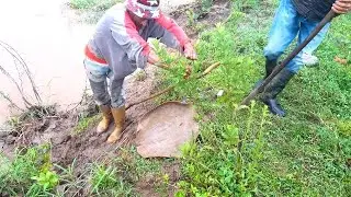 Pesca en el Rio Apure de Bagre Sapo o Rambao, Bagre Negro, Rayas y Mas