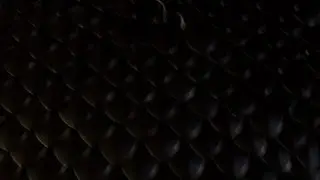 scalemaille shooting