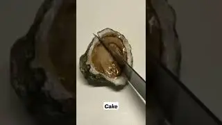 Real Cake 🍰 Wow #Short Video || Creative Mind A To Z