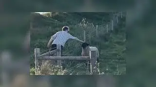 you'll understand when you're older - Lovejoy [sped up/nightcore]