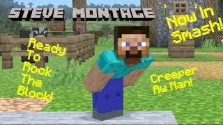 Minecraft Steve?[Smashbros Ultimate][Steve Montage]