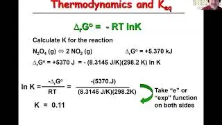 L48 Free Energy Equilibrium
