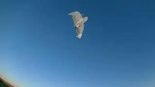 Bluecor Sorta Xvert
