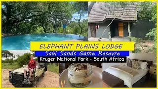 Elephant Plains Safari Lodge Tour