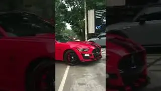 Red Shelby super snake in india #car #music  #mustang  #fortuner
