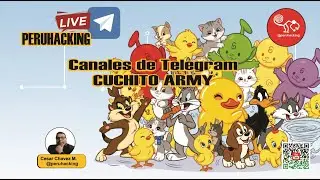 Historia de Canales de Telegram Peruanos CUCHITO ARMY