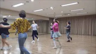 THE PICNIC POLKA  Linedance