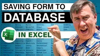 Excel -- Saving Form to Database: Episode 1504
