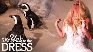 Bride Wants Live Penguins To Go With Her Wedding Ice Room | Say Yes To The Dress: The Big Day