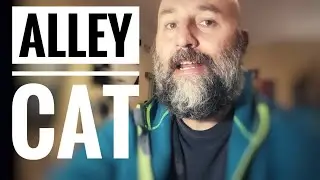 Alley Cat (Frank Bj&ouml;rn) - Fun Piano!