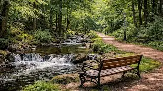 Maditation & Relaxing: Piano, Flute, and Flowing Water