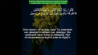 Коран Сура Аль-Гафир | 40:11  | Чтение Корана с русским переводом| Quran Translation in Russian